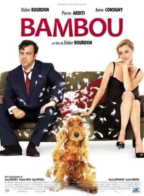 Bambou - Click to enlarge picture.