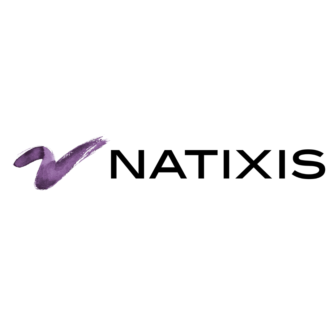 Logo Natixis