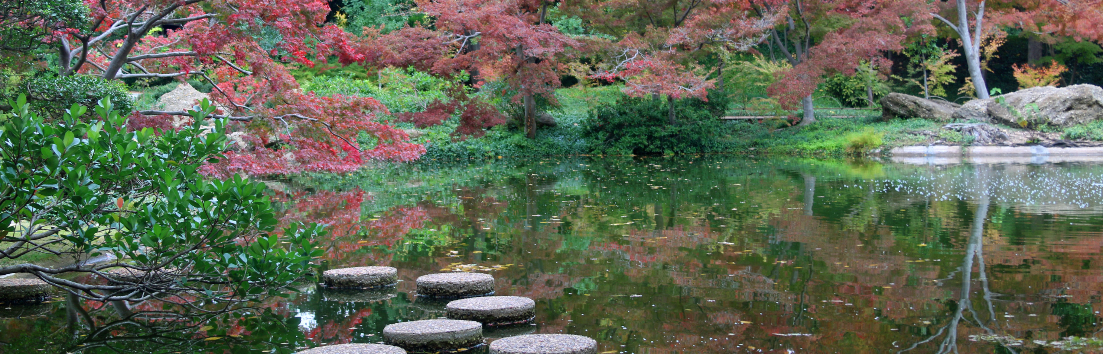 france tourism travelling hauts de france garden