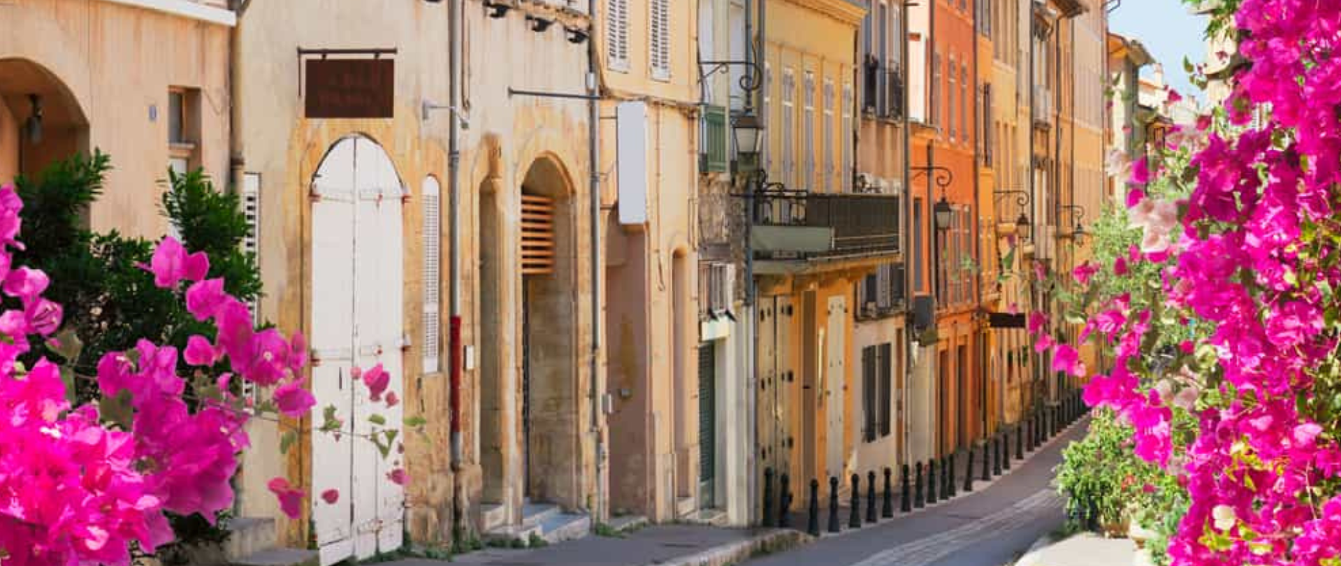 Summer Immersion Programme