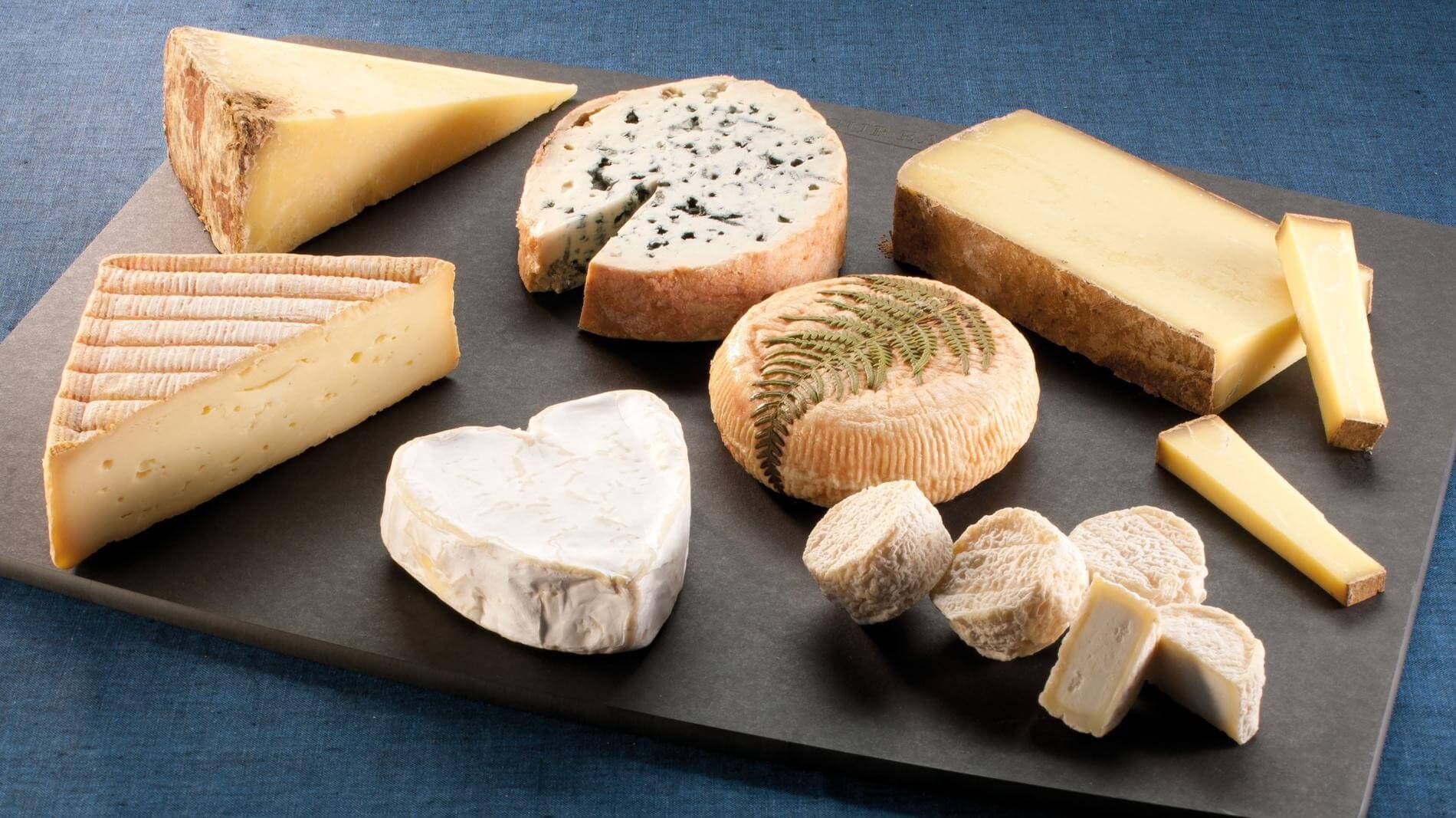 French cheese tasting